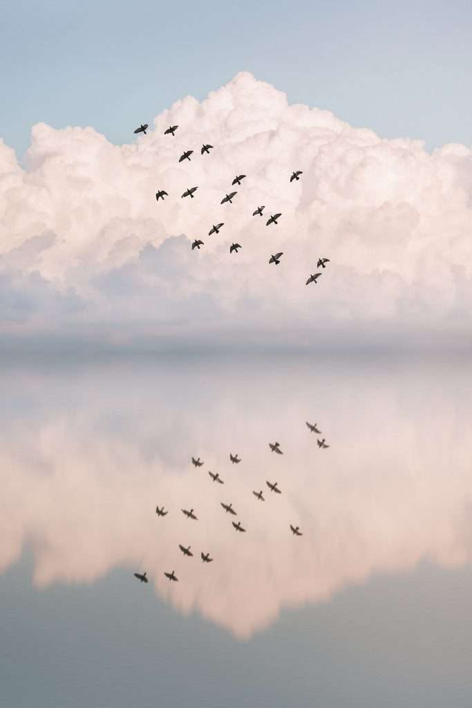 Come comprendere meglio i tuoi sogni 1 how to understand your dreams better 2 683x1024 2023 03