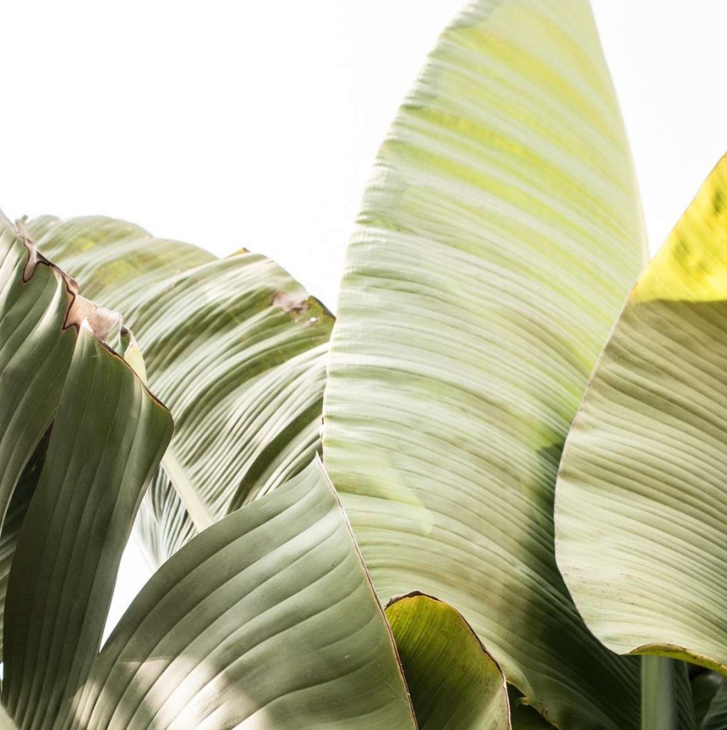 Abitudini sane da iniziare oggi