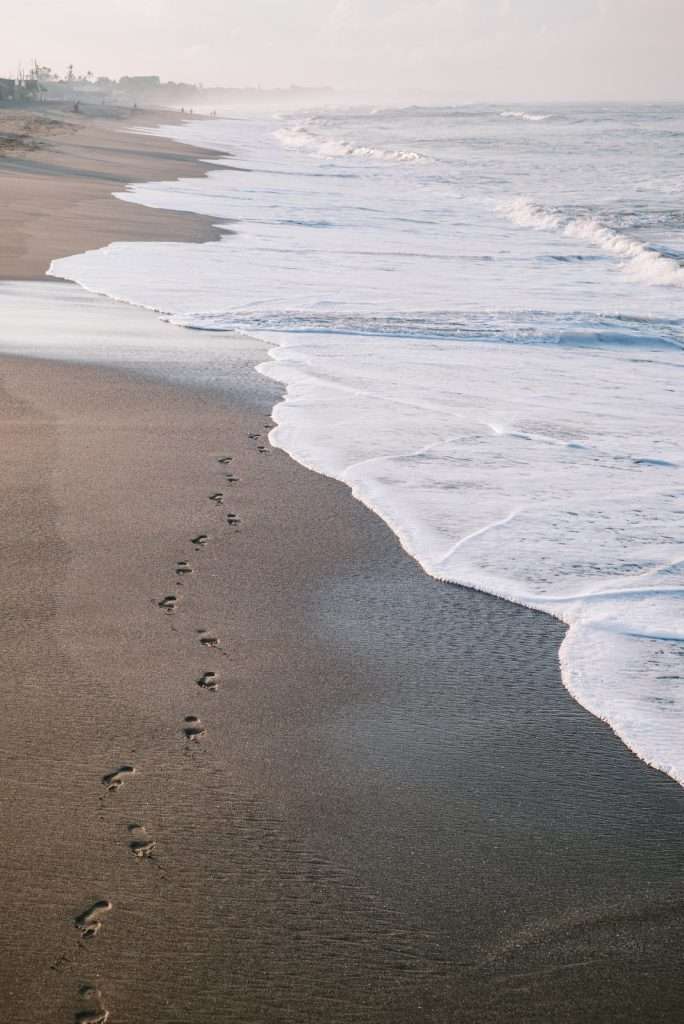1 684x1024 2022 11
