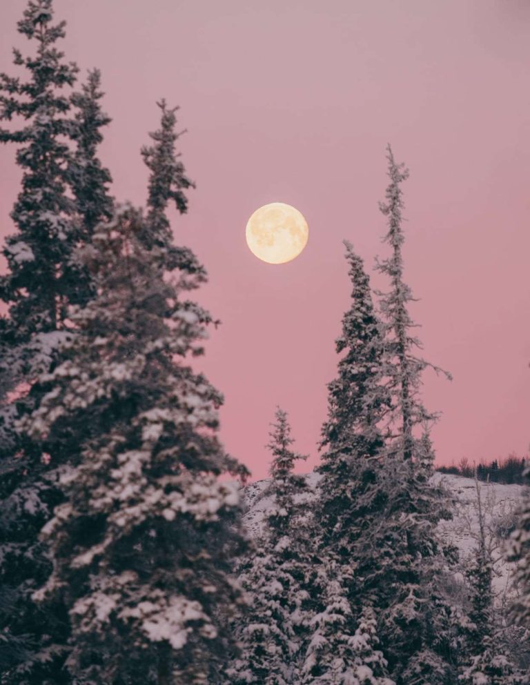 Le svolte della Luna Piena Rosa in Scorpione