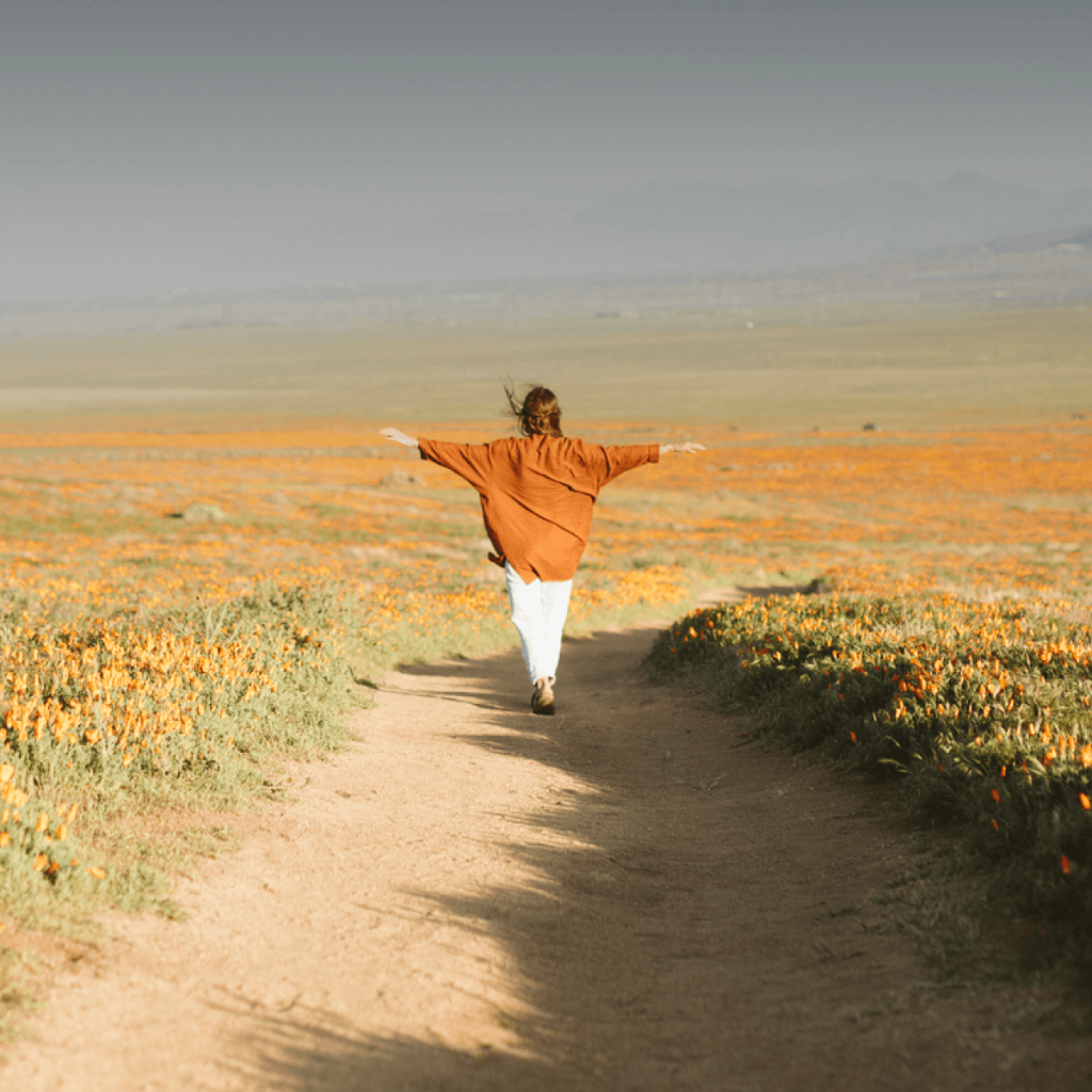 Explore, go beyond