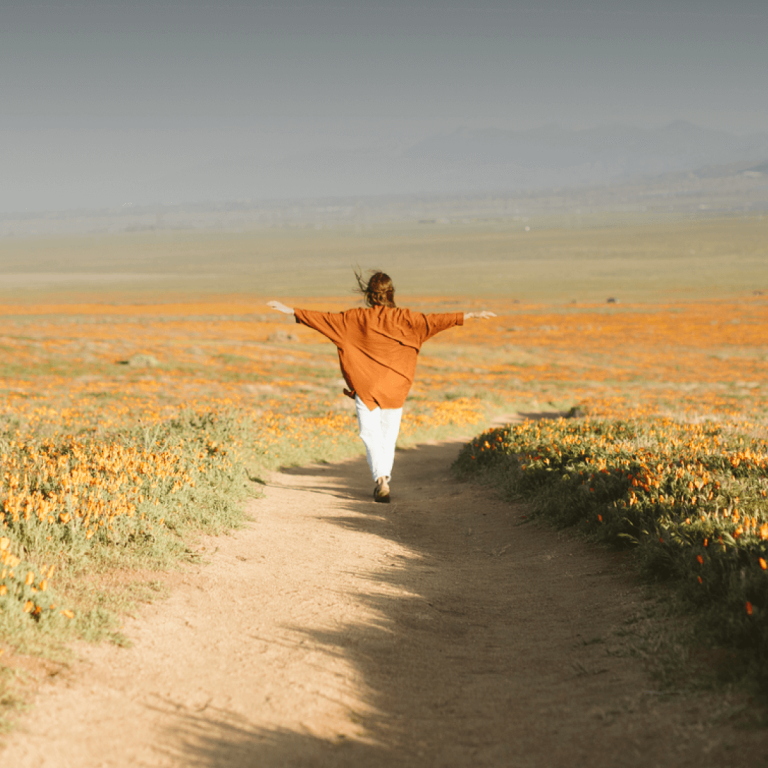 Explore, go beyond