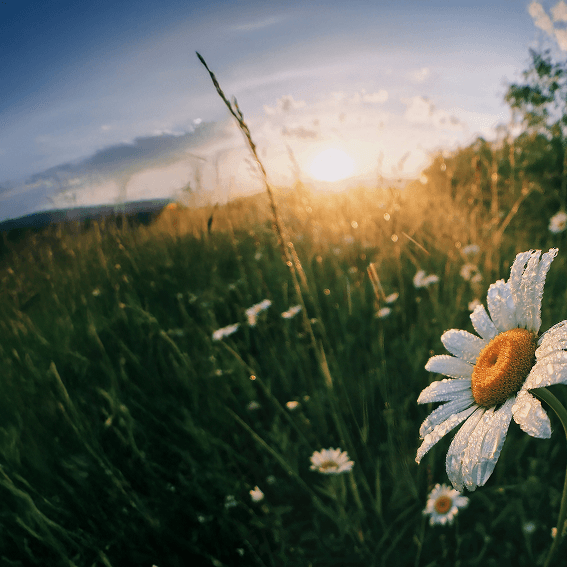 Intuition over perfection
